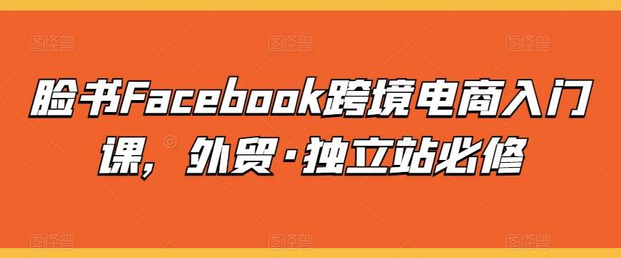 脸书Facebook跨境电商入门课，外贸·独立站必修-领学通