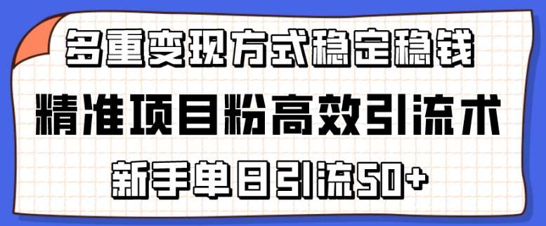 精准项目粉高效引流术，新手单日引流50+，多重变现方式稳定赚钱【揭秘】-领学通