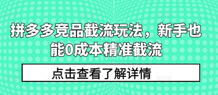 拼多多竞品截流玩法，新手也能0成本精准截流-领学通