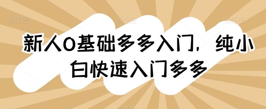 新人0基础多多入门，​纯小白快速入门多多-领学通