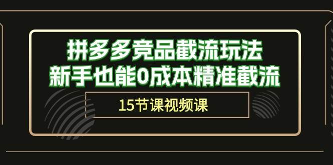 （10301期）拼多多竞品截流玩法，新手也能0成本精准截流（15节课）-领学通