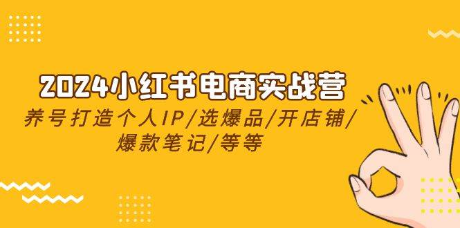 2024小红书电商实战营，养号打造IP/选爆品/开店铺/爆款笔记/等等（24节）-领学通