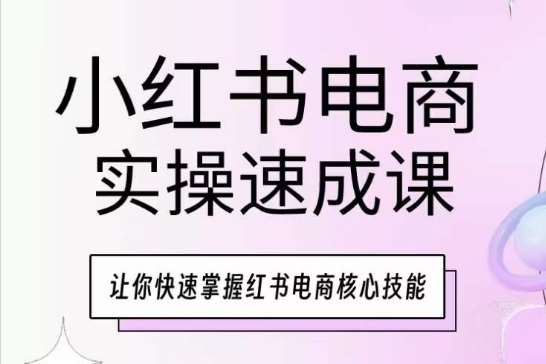 小红书电商实操速成课，让你快速掌握红书电商核心技能-领学通