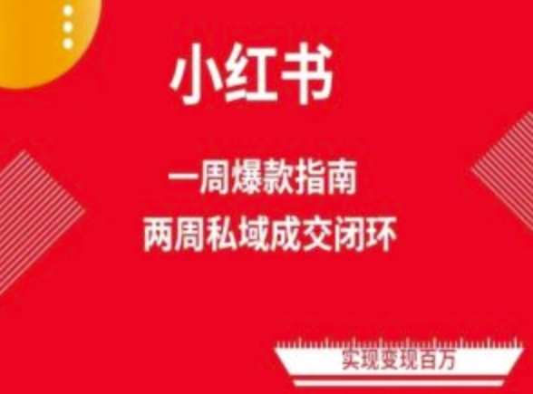 爆款小红书免费流量体系课程(两周变现)，小红书电商教程-领学通