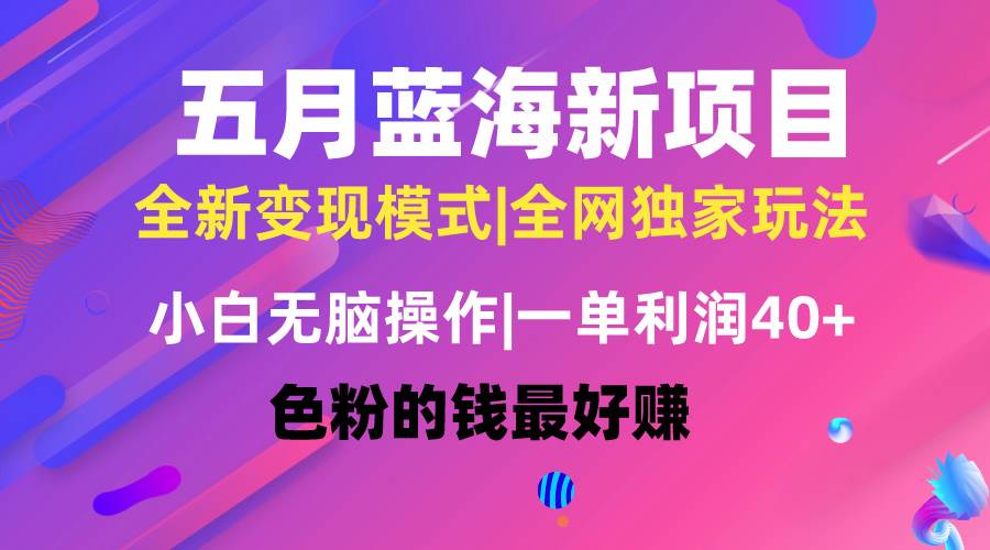（10477期）五月蓝海项目全新玩法，小白无脑操作，一天几分钟，矩阵操作，月入4万+-领学通