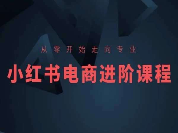 从零开始走向专业，小红书电商进阶课程-领学通