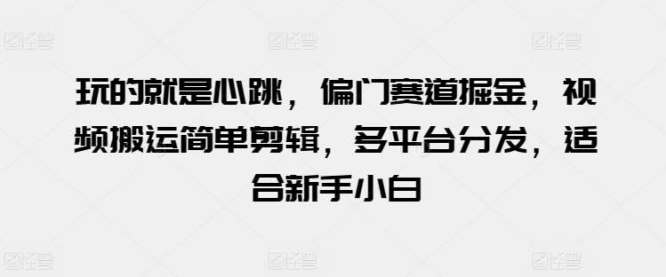 玩的就是心跳，偏门赛道掘金，视频搬运简单剪辑，多平台分发，适合新手小白【揭秘】-领学通