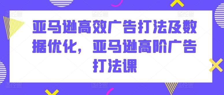 亚马逊高效广告打法及数据优化，亚马逊高阶广告打法课-领学通
