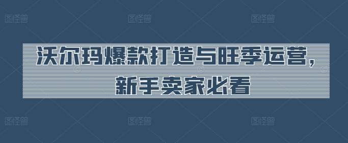 沃尔玛爆款打造与旺季运营，新手卖家必看-领学通