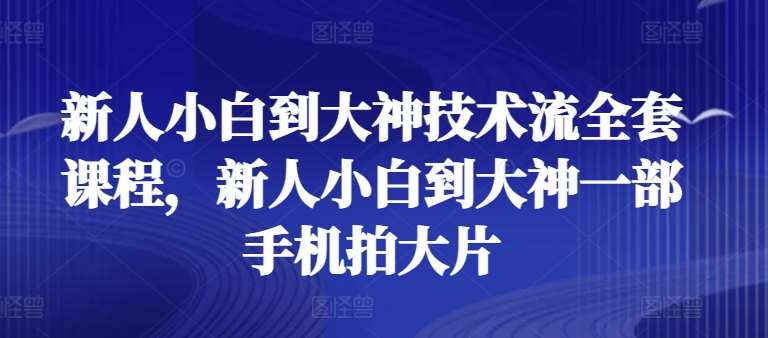 新人小白到大神技术流全套课程，新人小白到大神一部手机拍大片-领学通