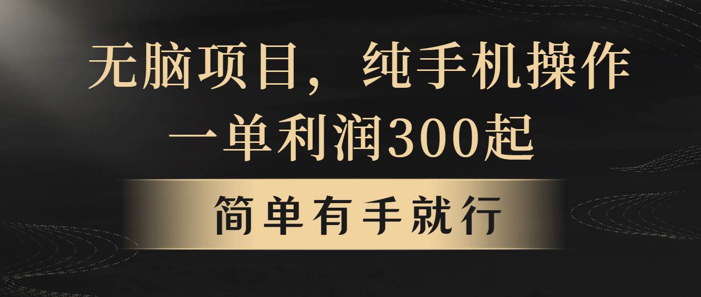 （10699期）无脑项目，一单几百块，轻松月入5w+，看完就能直接操作-领学通