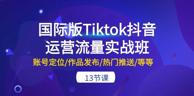 （10712期）国际版Tiktok抖音运营流量实战班：账号定位/作品发布/热门推送/等等-13节-领学通