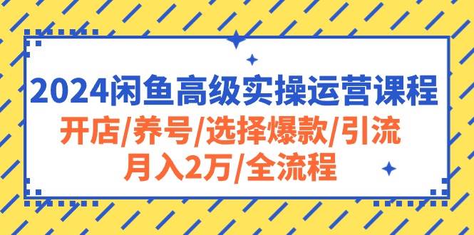 （10711期）2024闲鱼高级实操运营课程：开店/养号/选择爆款/引流/月入2万/全流程-领学通