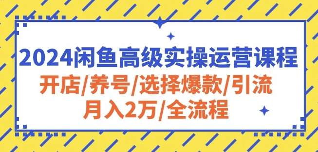 2024闲鱼高级实操运营课程：开店/养号/选择爆款/引流/月入2万/全流程-领学通