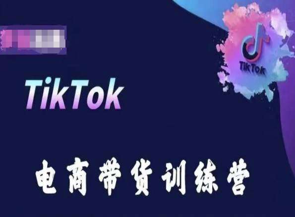 TikTok电商带货训练营，跟随时代潮流，跨境掘金-领学通