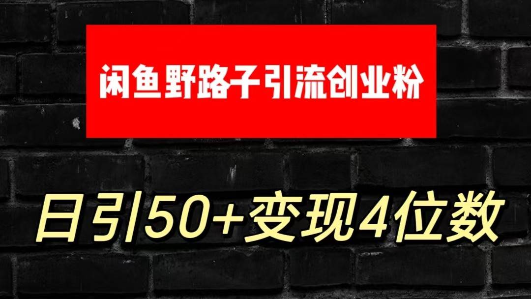大眼闲鱼野路子引流创业粉，日引50+单日变现四位数-领学通