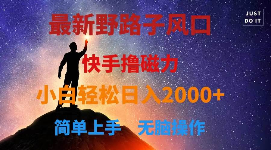 （10754期）最新风口！快手撸磁力，野路子，小白无脑操作日入2000+-领学通