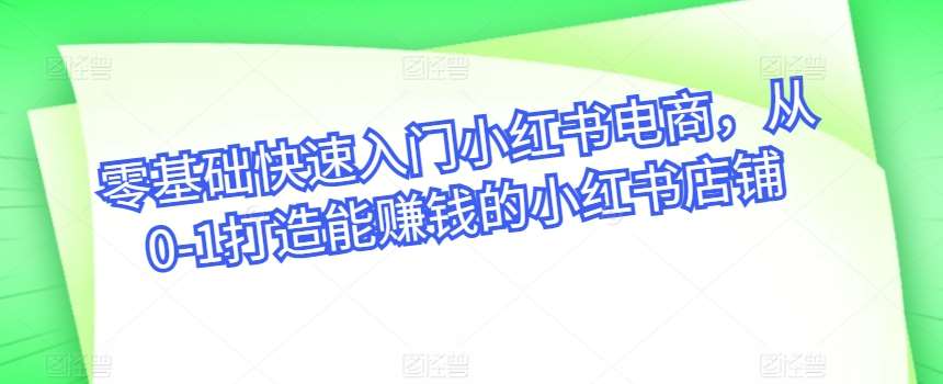 零基础快速入门小红书电商，从0-1打造能赚钱的小红书店铺-领学通