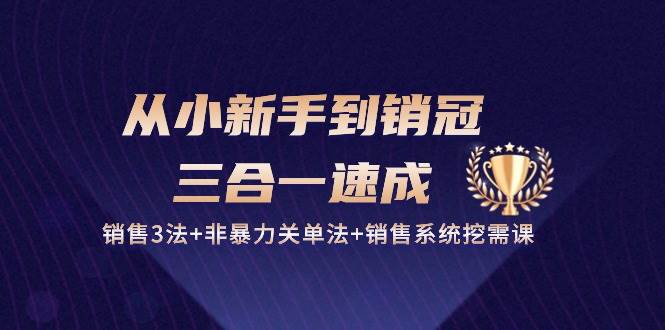 （10799期）从小新手到销冠 三合一速成：销售3法+非暴力关单法+销售系统挖需课 (27节)-领学通