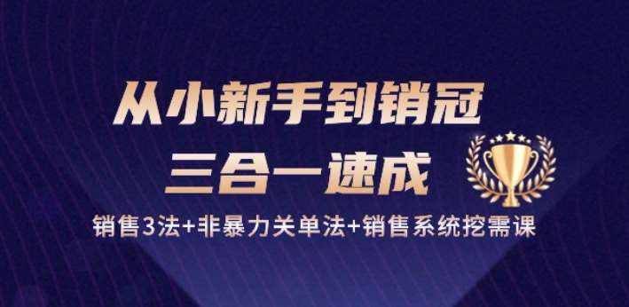 从小新手到销冠 三合一速成：销售3法+非暴力关单法+销售系统挖需课 (27节)-领学通