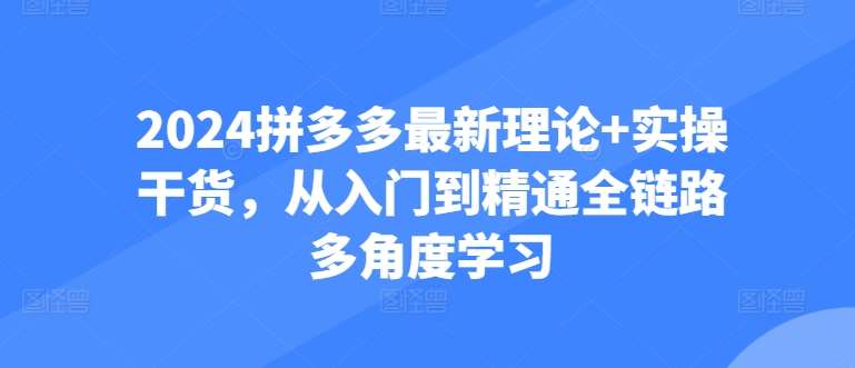 2024拼多多最新理论+实操干货，从入门到精通全链路多角度学习-领学通