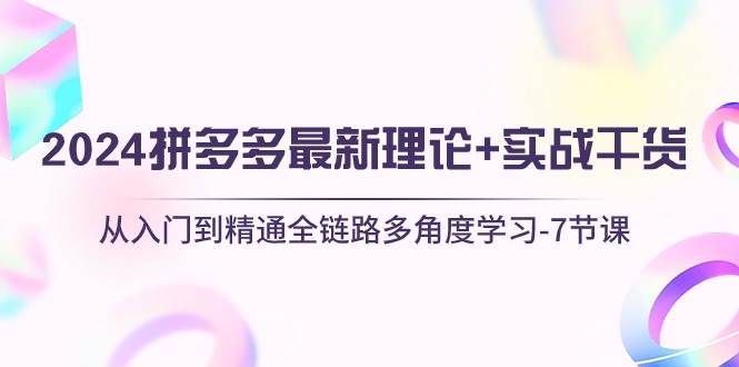 （10816期）2024拼多多 最新理论+实战干货，从入门到精通全链路多角度学习-7节课-领学通