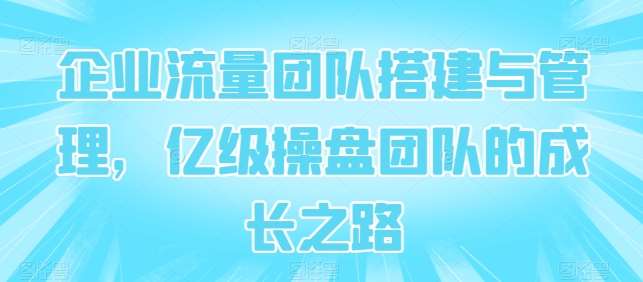企业流量团队搭建与管理，亿级操盘团队的成长之路-领学通