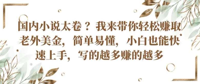 国内小说太卷 ?带你轻松赚取老外美金，简单易懂，小白也能快速上手，写的越多赚的越多【揭秘】-领学通