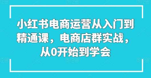 小红书电商运营从入门到精通课，电商店群实战，从0开始到学会-领学通