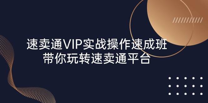 （10935期）速卖通 VIP实战操作-速成班，带你玩转速卖通平台（23节）-领学通