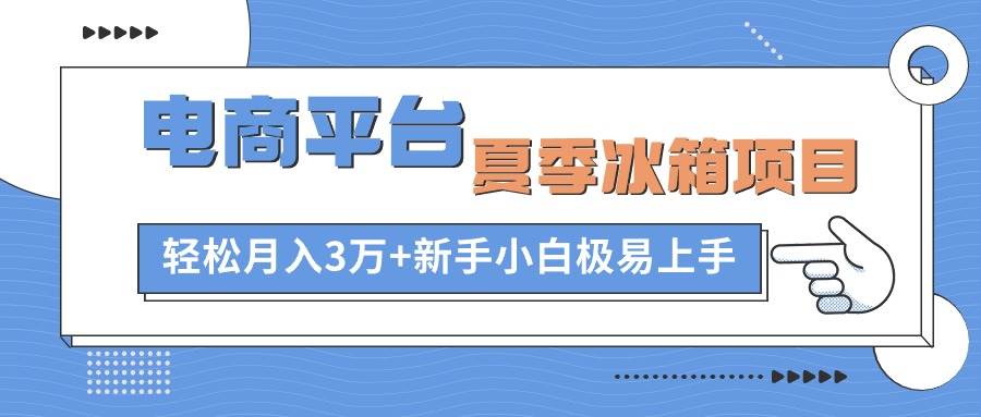 （10934期）电商平台夏季冰箱项目，轻松月入3万+，新手小白极易上手-领学通