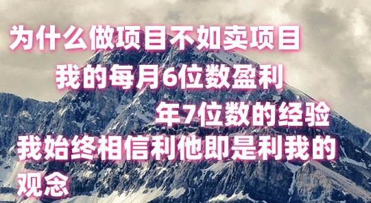 做项目不如卖项目，每月6位数盈利，年7位数经验-领学通