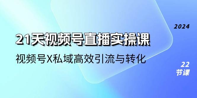 21天视频号直播实操课，视频号X私域高效引流与转化（22节课）-领学通