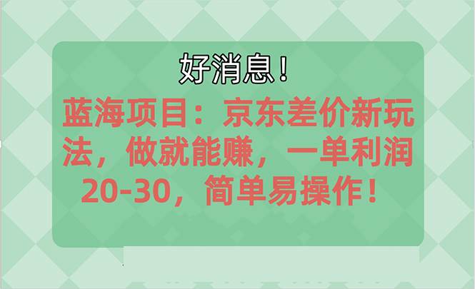 （10989期）越早知道越能赚到钱的蓝海项目：京东大平台操作，一单利润20-30，简单…-领学通