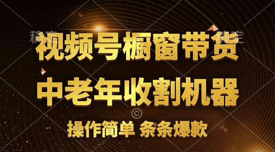 （11009期）[你的孩子成功取得高位]视频号最火爆赛道，橱窗带货，流量分成计划，条…-领学通