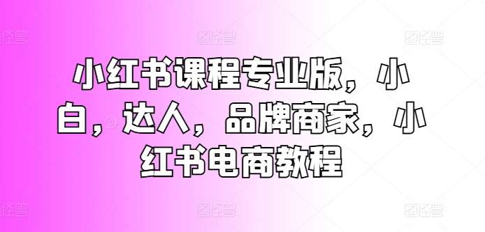 小红书课程专业版，小白，达人，品牌商家，小红书电商教程-领学通