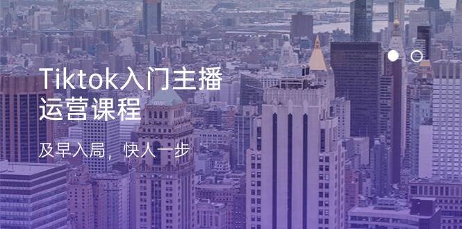 Tiktok入门主播运营课程，及早入局，快人一步（11节）-领学通