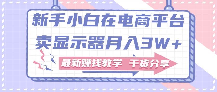 （11053期）新手小白如何做到在电商平台卖显示器月入3W+，最新赚钱教学干货分享-领学通
