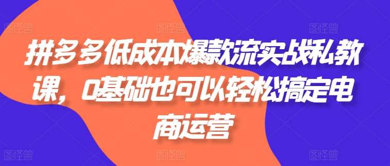 拼多多低成本爆款流实战私教课，0基础也可以轻松搞定电商运营-领学通