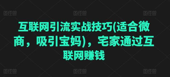 互联网引流实战技巧(适合微商，吸引宝妈)，宅家通过互联网赚钱-领学通