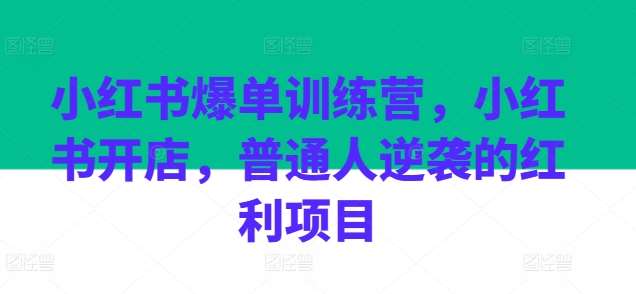 小红书爆单训练营，小红书开店，普通人逆袭的红利项目-领学通