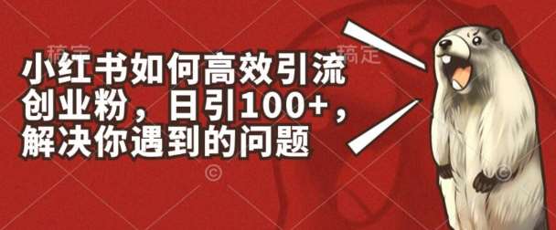 小红书如何高效引流创业粉，日引100+，解决你遇到的问题【揭秘】-领学通