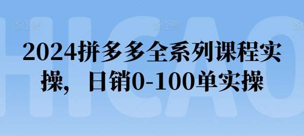 2024拼多多全系列课程实操，日销0-100单实操【必看】-领学通