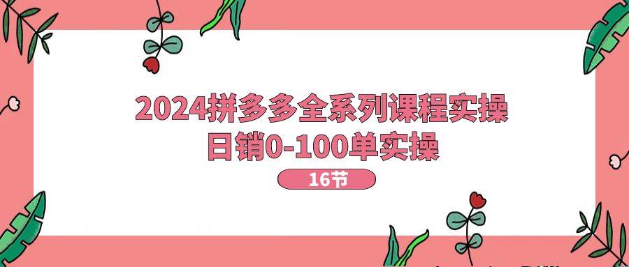 （11222期）2024拼多多全系列课程实操，日销0-100单实操【16节课】-领学通