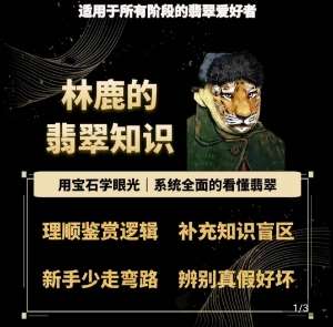 林鹿的翡翠知识，​用宝石眼光，系统全面的看懂翡翠-领学通