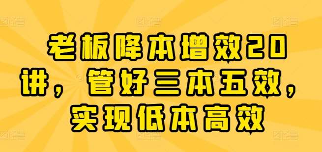 老板降本增效20讲，管好三本五效，实现低本高效-领学通