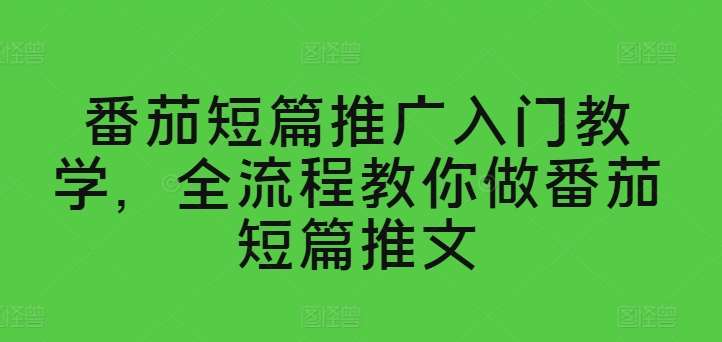 番茄短篇推广入门教学，全流程教你做番茄短篇推文-领学通