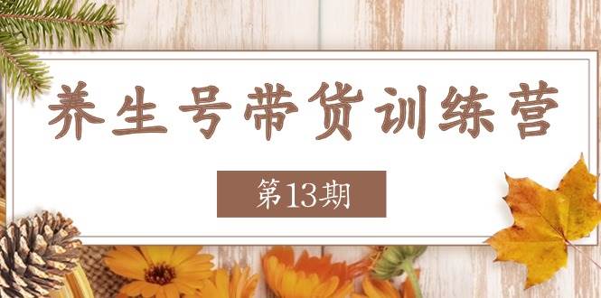 养生号带货训练营【第13期】收益更稳定的玩法，让你带货收益爆炸-领学通
