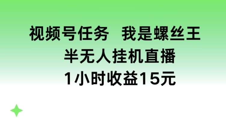 视频号任务，我是螺丝王， 半无人挂机1小时收益15元【揭秘】-领学通
