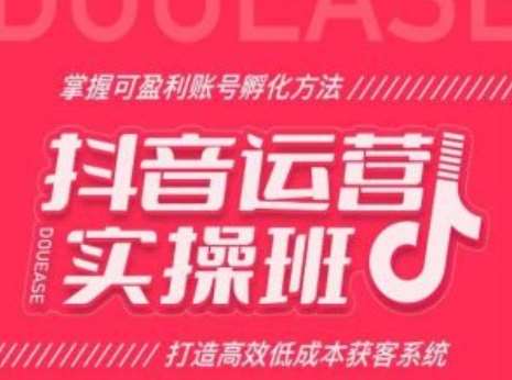 抖音运营实操班，掌握可盈利账号孵化方法，打造高效低成本获客系统-领学通